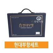 현대부항흡입기