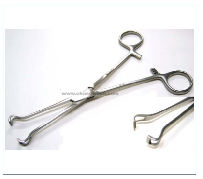 맹장감자 (Babcock Forceps) 6-135A