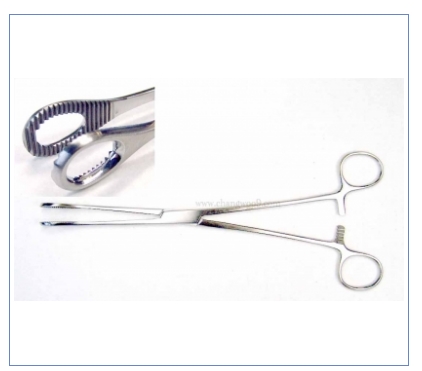 스폰지포셉 유구 직 (Sponge Forceps) 11-099