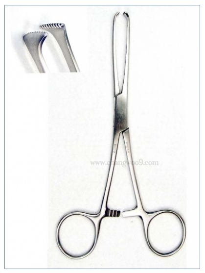 엘리스티슈포셉 직  (Allis Tissue Forceps) 6-131B